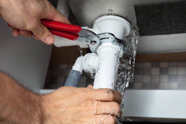 Best Mold removal after water damage  in Nicholls, GA
