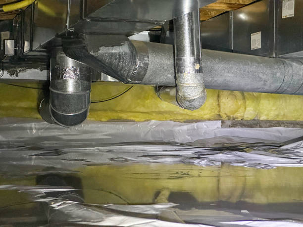 Best Sewage cleanup and water damage restoration  in Nicholls, GA