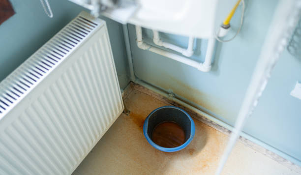 Best Flooded house restoration  in Nicholls, GA