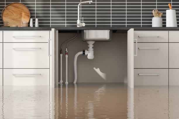 Best Emergency water damage restoration  in Nicholls, GA