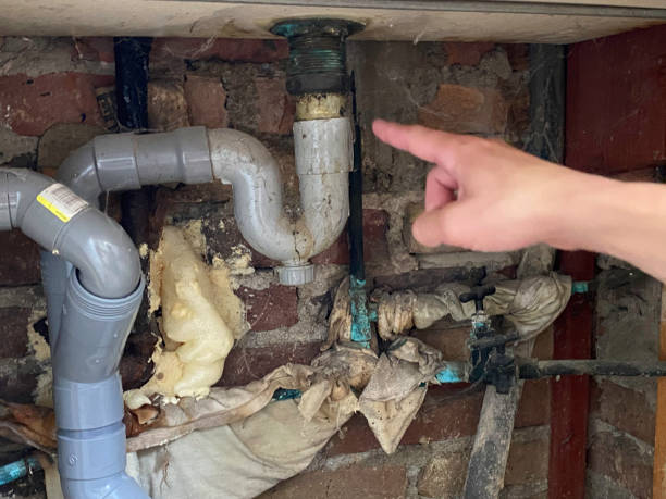 Best Basement water damage restoration  in Nicholls, GA