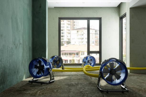 Best Commercial water damage restoration  in Nicholls, GA