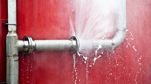 Best Flood damage cleanup  in Nicholls, GA